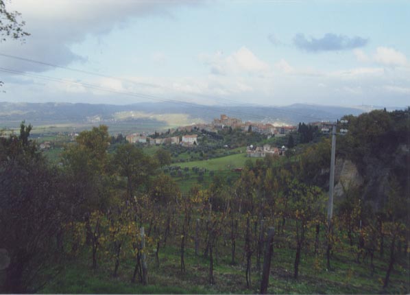 Panorama